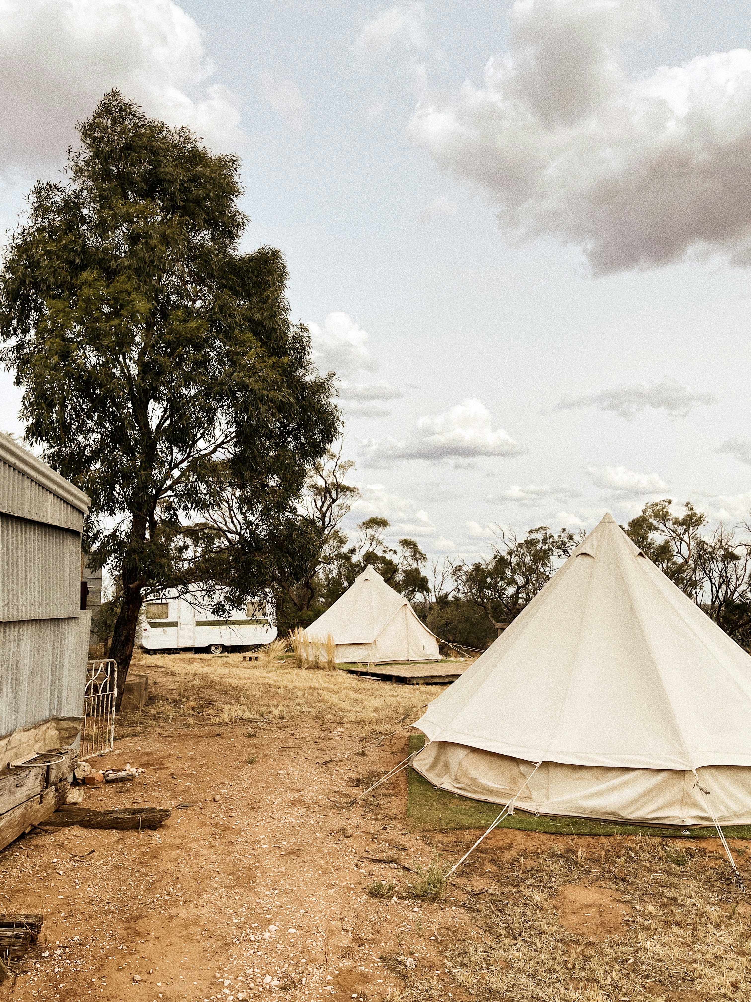 white tent near green tree under white clouds during daytime